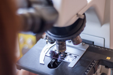diagnostico de citologia en microscopio