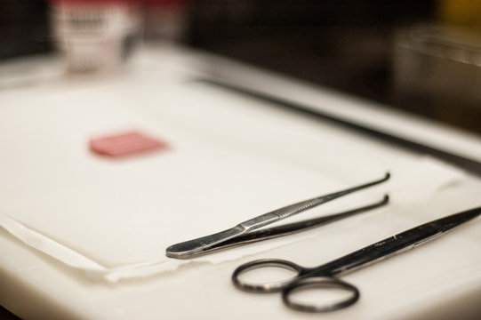 sala de macro lista para recibir biopsia