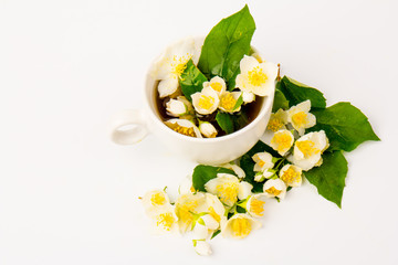 Jasmine flowers whith cup of tea on white background. Space for text