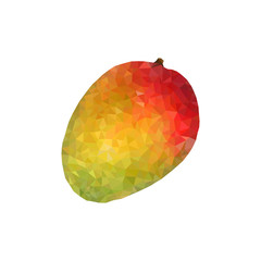 mango polygonal illustration