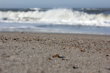 Fototapeta na wymiar Sand an der Küste 