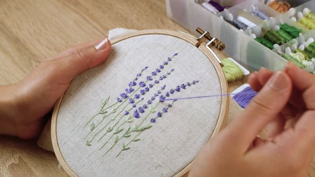 Woman makes embroidery a beautiful picture of lavender flowers. Handmade craft embroidery. Embroidery with a wooden hoop in the art of craft technique with a flower
