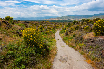 Landscape with road