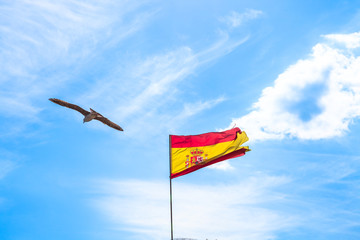 Spanish flag in the sky in with clouds and a seagull flying. Sky background with copy space.