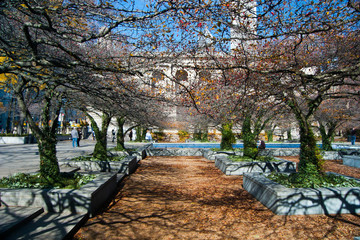Chicago downtown - USA
