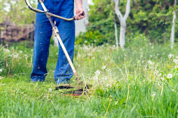 The gardener mows the grass with a trimmer in the spring garden