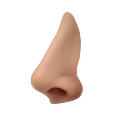 Human nose. Profile view. Vector illustration isolated on white background.