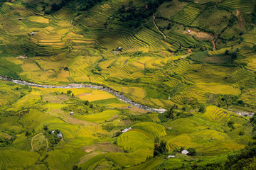 River along landscape terraced rice field in Mu cang chai district Yen bai province, Vietnam