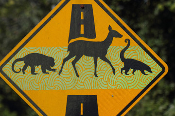 yellow traffic sign with monkey, dear and coati, Costa Rica, Central America