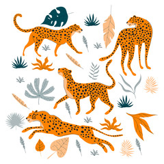 Leopard in Different Poses Jumping Walking Standing with Tropical Leaves Vector Set