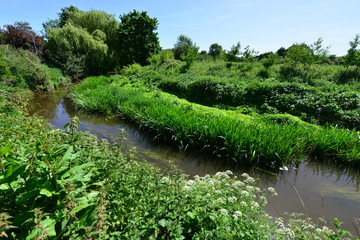 The River Mole in May in Horley in Surrey.