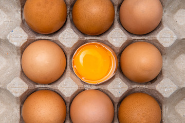 Chicken eggs being able to cook many different foods.