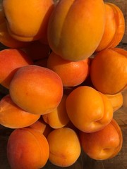 Delicious fresh apricots on the table macro
