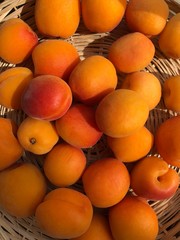 Delicious fresh apricots on the table macro