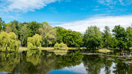 Fototapeta na wymiar A pond in the Zmigrodzki park