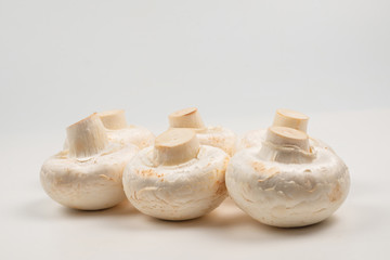 Champignon mushroom isolated on white background.