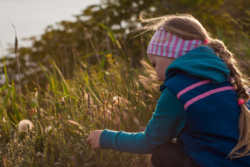 Beautiful little blond hair girl with long braid in blue hoody on wild blooming nature background. The child sitting back view alone on flowering grass landscape. Eco style living, fresh air walking.