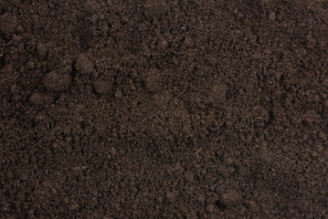Black land for plant background.