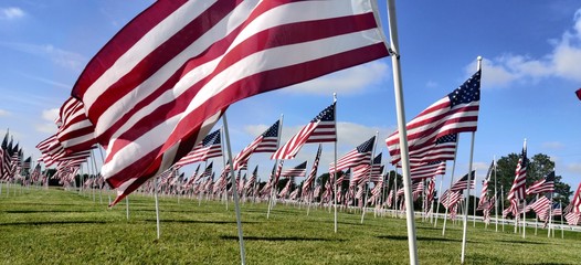 american flag flying wind memorial veterans usa