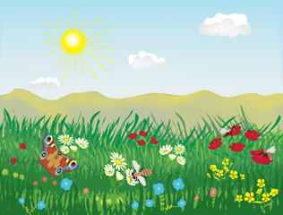 Spring and summer lanscape with meadow, grass, flowers, bees, butterfly, hills, sky, sun, clouds