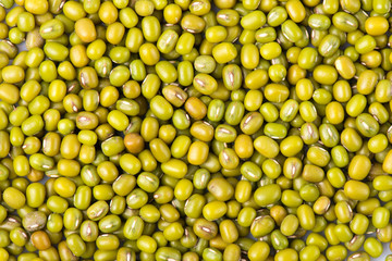 peas mash. mung bean.