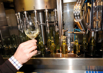 Modern industrial wine bottling plant