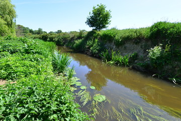 The River Mole in May in Horley in Surrey.