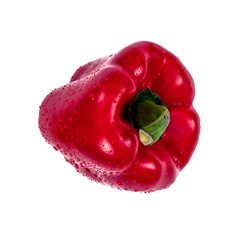 Red sweet bell pepper with drops of water, isolated on white background. Fresh raw vegetable, healthy organic food concept