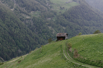 Alpine chalet and green meadow.