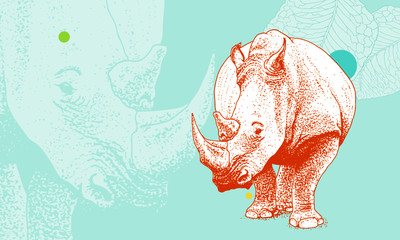 Shy looking Rhino. Hand drawn and highly detailed. 