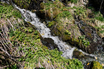 Waterfall in the alpine mountains.