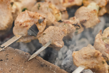 Spring fried meat pork barbecue on the skewer. A lot of smoke and hot coals. Some dust particles...