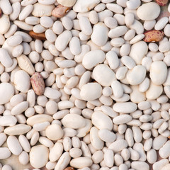 beans close-up. a lot of beans.