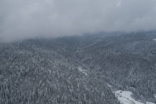 Aerial drone view in mountain forest. Winter landscape. Snowy Fir and Pine trees. Snowy tree branch in a view of the winter forest. Winter landscape, forest, trees covered with frost, snow. © MONIUK ANDRII