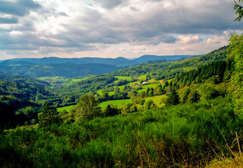 Paysage des montagnes vosgiennes en été en Alsace en France