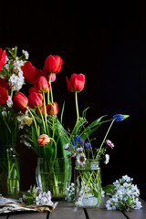 Still life with bouquets of red tulips, field daisies, muscaris in glass jars, cherry blossoms on dark background