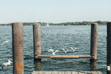 Fototapeta premium lake