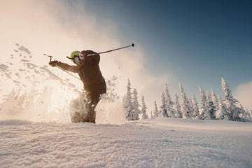 Happy Skier skiing and jump in mountains against sunshine on fresh snow powder between snow-covered spruce forest. Sunny winter day and free ride in ski-resort..