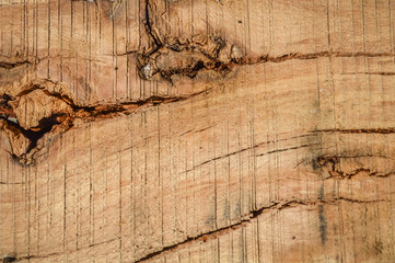cracked rough knotted hardwood texture background