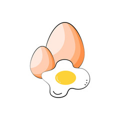 chicken eggs and fried egg on white background. vector, illustrator