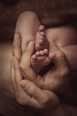 Fototapeta premium Little tiny baby legs in hands