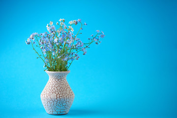 Little blue flowers in vase on colored background