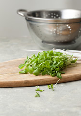 Young cut micro-greens on a wooden cutting Board with a droushlak for washing. Daikon greens has vitamins and saves from colds.