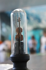 viola