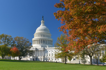 Washington D.C. in autumn - U.S. Capitol Building in autumn foliage