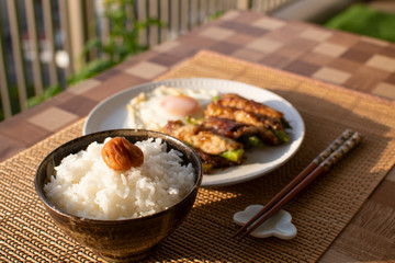 ベランダでご飯