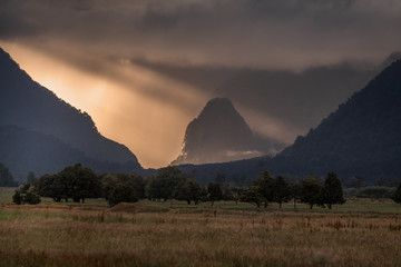 Fototapety na wymiar - Fototapeta24.pl