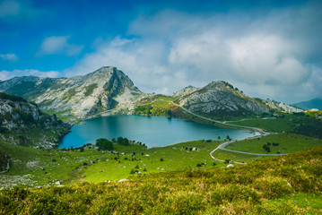 Naklejka na ściany i meble Lake Enol. The Lakes of Covadonga are composed of two glacial lakes located on the region of Asturias. Picos de Europa range. Picos de Europa National Park. Asturias, Spain