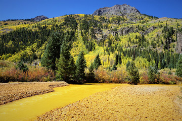 Scenic view in San Juan National Forest.