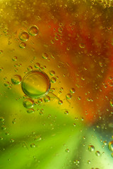 macro photo of bubbles by the mix of oil and water